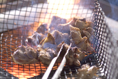 【2026年】中百舌鳥デートの定番20選｜カジュアルから特別な日まで